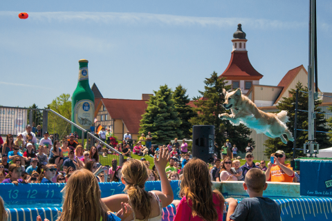 Frankenmuth Calendar Of Events 2022 Festivals And Events | Frankenmuth