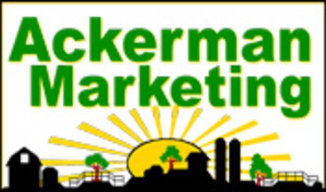 Ackerman Marketing